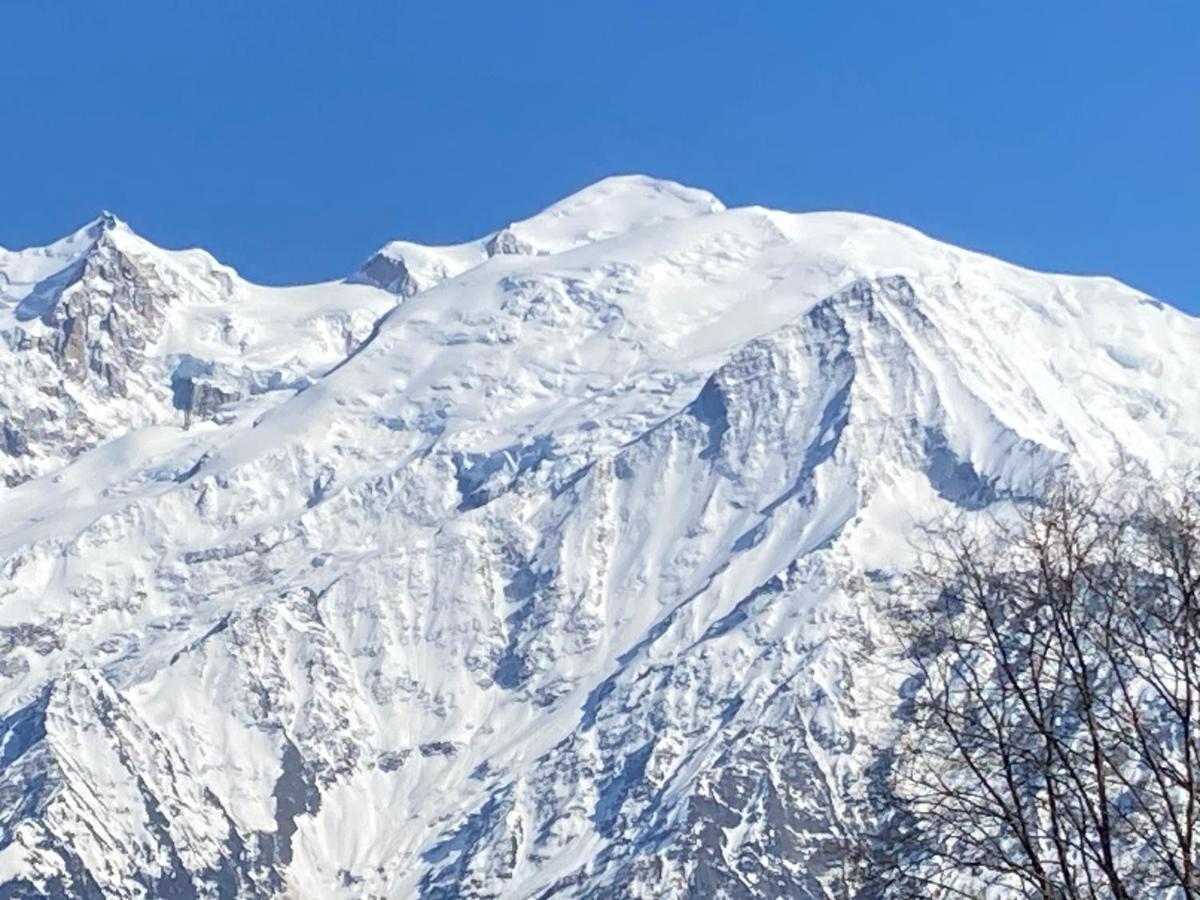 Les Edelweiss Mont-Blanc - Gite Classe 3 Etoiles Passy  Εξωτερικό φωτογραφία