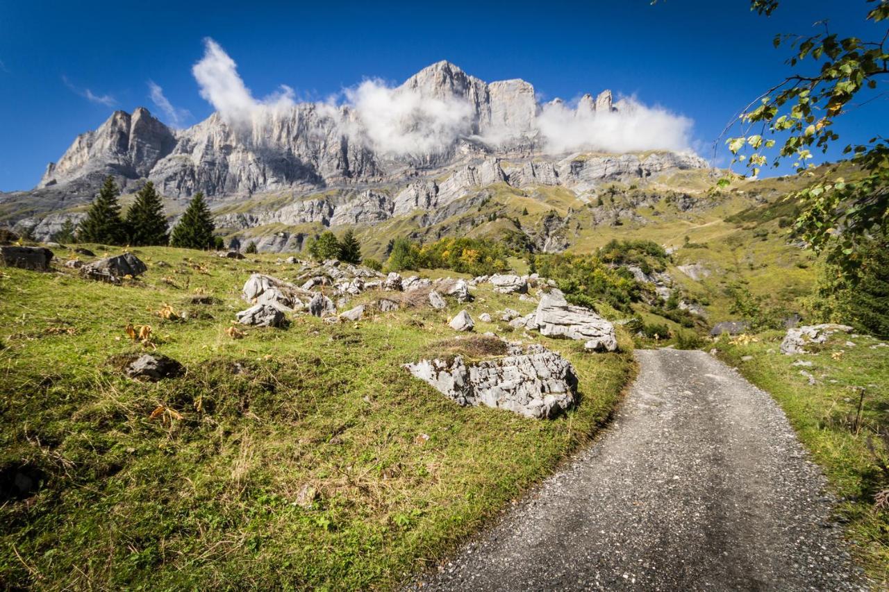 Les Edelweiss Mont-Blanc - Gite Classe 3 Etoiles Passy  Εξωτερικό φωτογραφία
